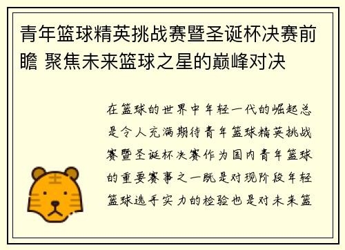 青年篮球精英挑战赛暨圣诞杯决赛前瞻 聚焦未来篮球之星的巅峰对决