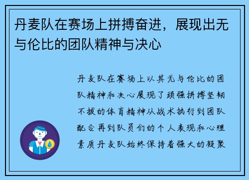 丹麦队在赛场上拼搏奋进，展现出无与伦比的团队精神与决心