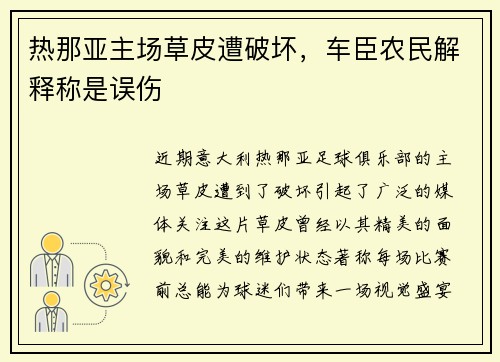 热那亚主场草皮遭破坏，车臣农民解释称是误伤